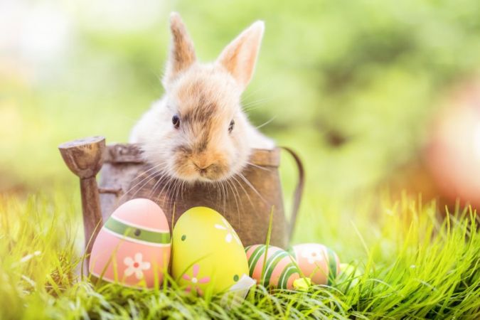 Frohe-Ostern-.jpeg