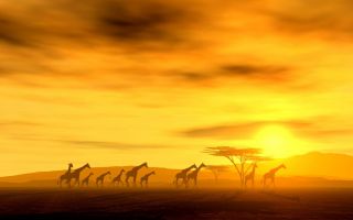 Afrika.jpg