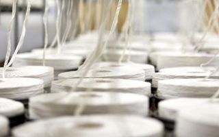 Cotton-since-1901.png