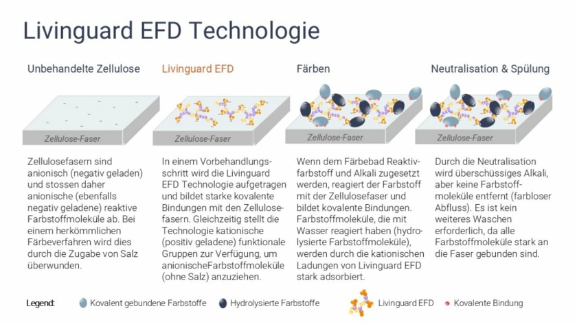 Die-Technologie-Livinguard-EFD-Copyright-Livinguard.jpg