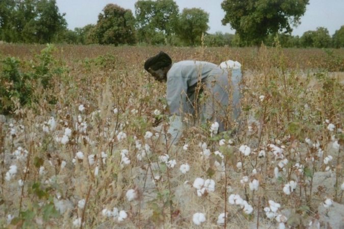 Afrika-Bremer-Baumwollboerse.jpg