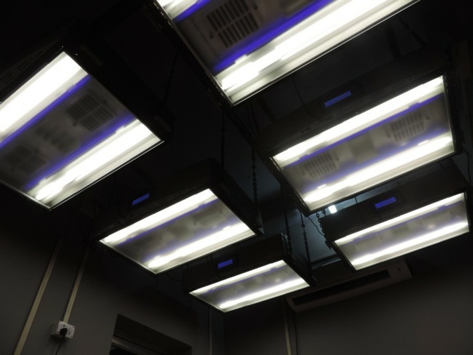 Malti Rugs installierte ein X-Rite Raum mit Spectrallicht QC Photos: Malti Rugs