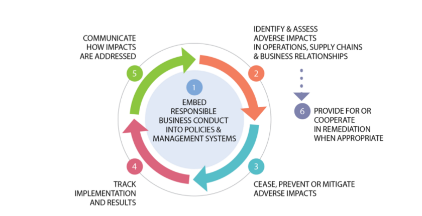 due-diligence-process-OECD.png