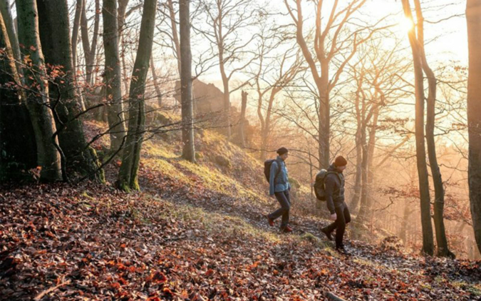 Vaude-Wandern-Wald_16-zu-10