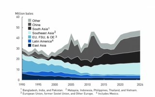 Development-Global-Cotton.jpg