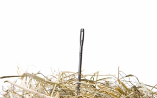Nadel-im-Heuhaufen.jpg