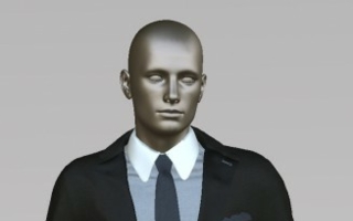 Vidya - example 
Photos: Human Solutions