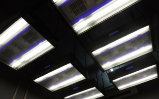 Malti Rugs installed an X-Rite Harmony Room with SpectraLight QC as a fit-and-finish area with controlled lighting for accurate color viewing. Phot...