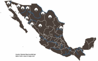 Mexiko-Baumwolle-Bremer.jpg