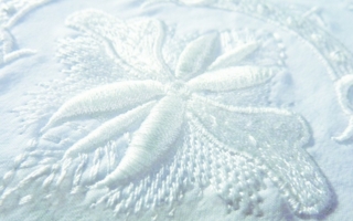 Plastic, tone on tone embroidery Photos: Madeira