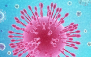 Keime-und-Viren-Coronavirus.jpg