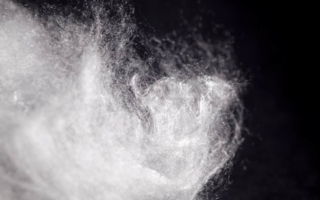Kelheim Fibres GmbH is the worlds leading producer of viscose speciality fibres and the most important supplier of viscose fibres for the tampon...