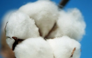 The ITMF set priorities for research over the next two years (Photo: textile network Archiv)