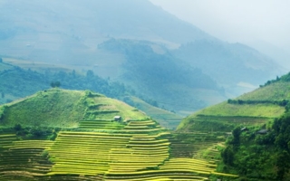 vietnamfotolia47147898l.jpg