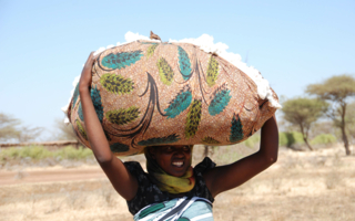 Baumwollpflücke Tanzania