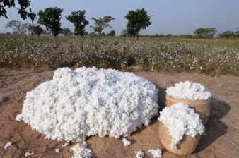 15.01.2016: Heimtextil: 1888 Mills und Cotton made in Africa schließen Partnerschaftsvertrag
