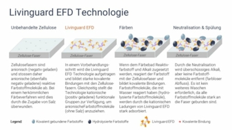 Die-Technologie-Livinguard-EFD-Copyright-Livinguard.jpg