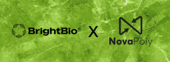 BrightBio-Copyright-Brightplus-Oy.png