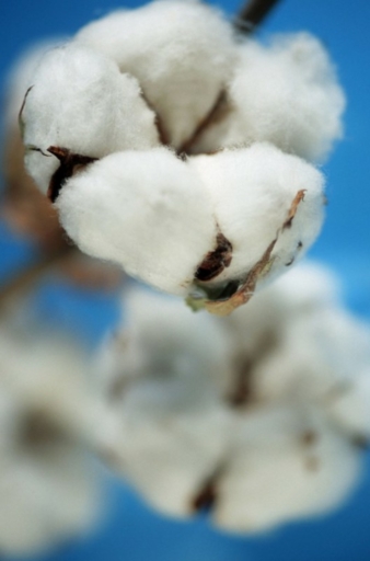 The ITMF set priorities for research over the next two years (Photo: textile network Archiv)
