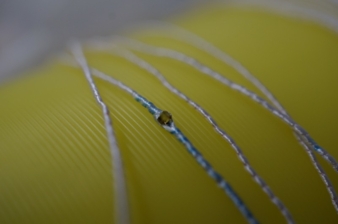 E-thread Faden mit LED auf Musterspule Photo: STFI