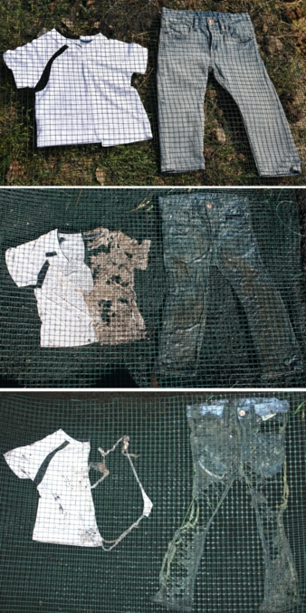 Biodegradation-von-Textilien.jpg