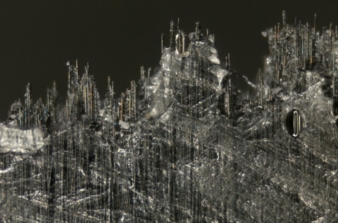 Fracture: specimen from conventionally treated fibres. Image width = 1.9 mm