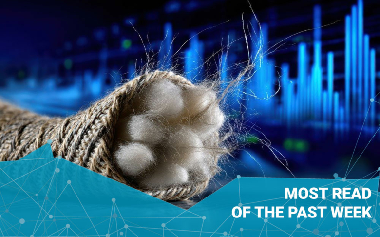 Top 5 of the Week – 2/2026